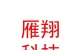 西藏雁翔科技有限公司