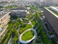 “四館一園”公共空間完成優(yōu)化提升，浦東“城市綠色客廳”煥新亮相