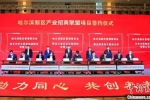 哈爾濱新區(qū)產(chǎn)業(yè)招商聯(lián)盟項目簽約大會舉行 簽約額88.45億元