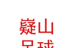 山西嶷山足球體育文化有限公司
