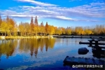 捧回華為大獎！河南硬核學(xué)霸：跨專業(yè)保研清華，研究“...