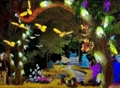 蘭州夜花園