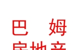 西藏巴姆房地產(chǎn)經(jīng)紀有限公司