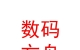 西藏數(shù)碼方舟信息科技有限公司