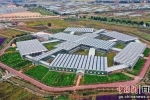 甘肅靖遠(yuǎn)：打好“四張牌” 構(gòu)建現(xiàn)代產(chǎn)業(yè)體系