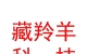 西藏藏羚羊網(wǎng)絡(luò)科技有限公司