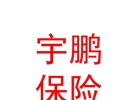 山西宇鵬金通保險(xiǎn)代理有限公司