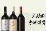 再談文化美學(xué)視野下，中國葡萄酒的本土表達(dá)