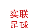 內(nèi)蒙古實(shí)聯(lián)足球俱樂部有限公司