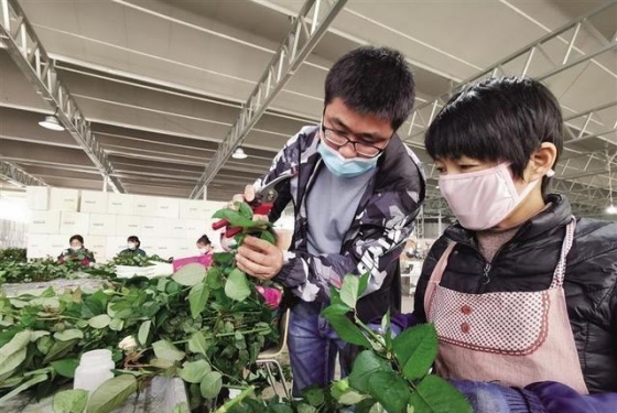 從農(nóng)民到產(chǎn)業(yè)工人，蘭州新區(qū)9000余名莊稼漢走上致富路