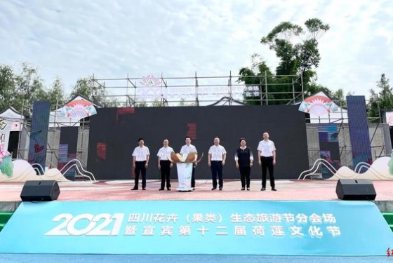 四川宜賓這個(gè)鎮(zhèn)兩萬(wàn)畝荷花開了，撬動(dòng)一個(gè)上億的產(chǎn)業(yè)