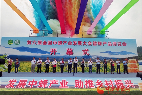 第六屆全國(guó)中蜂產(chǎn)業(yè)發(fā)展大會(huì)暨蜂產(chǎn)品博覽會(huì)在隴南兩當(dāng)開幕 ...