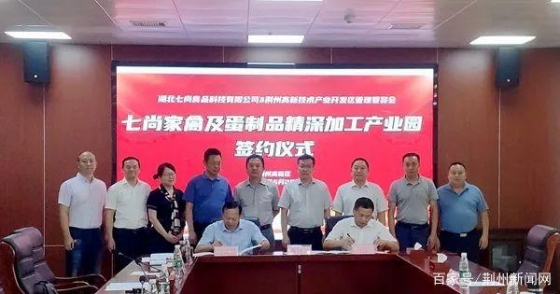 我省首個禽蛋產(chǎn)業(yè)鏈加工項目落戶荊州