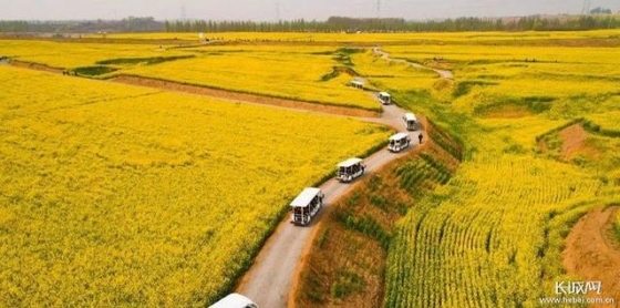 河北：高質(zhì)量建設現(xiàn)代農(nóng)業(yè)產(chǎn)業(yè)園