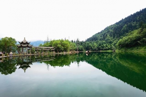 甘肅隴南：做活一個產(chǎn)業(yè)，造富一方百姓