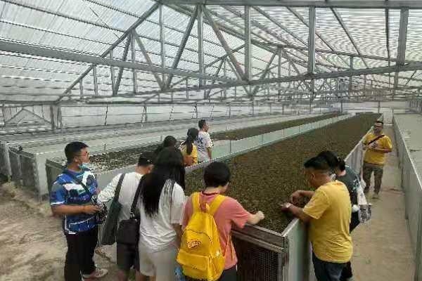 清華大學工業(yè)工程系“清云”支隊探秘普洱茶咖 問道產(chǎn)業(yè)發(fā)展 ...