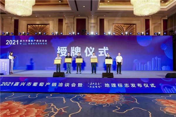 小葡萄“串”起大產(chǎn)業(yè)！嘉興發(fā)布兩個葡萄地理標志