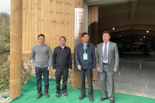 聚焦山地論壇⑥四川省葡萄產(chǎn)業(yè)技術(shù)研究院九寨溝分院揭牌