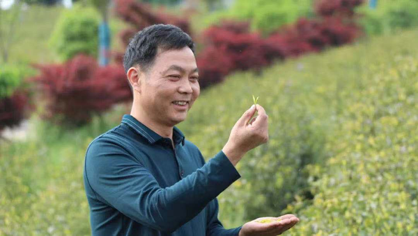 聚焦地標農(nóng)產(chǎn) 建設(shè)產(chǎn)業(yè)鏈普惠新生態(tài) ——茶香源自"活水"來 ...