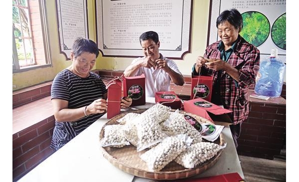 重慶榮昌：特色產(chǎn)業(yè)遍地開花 集體經(jīng)濟生機勃勃