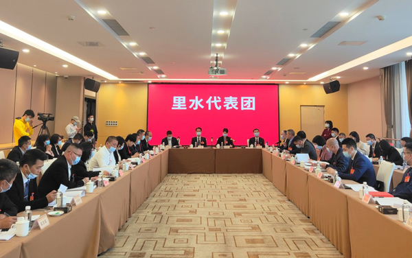 南海兩會｜王勇：里水要以水引領(lǐng)未來發(fā)展，重點提升三大產(chǎn)業(yè) ...