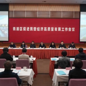 推進民營經(jīng)濟高質(zhì)量發(fā)展 上海青浦實施產(chǎn)業(yè)鏈“鏈長制”