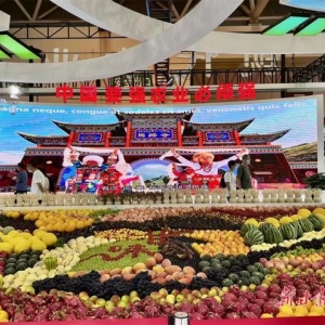 「蘭洽會(huì)聚焦」擦亮綠色招牌 護(hù)航生態(tài)發(fā)展——甘肅省綠色生態(tài)產(chǎn)業(yè)項(xiàng)目對(duì)接聚焦 ...