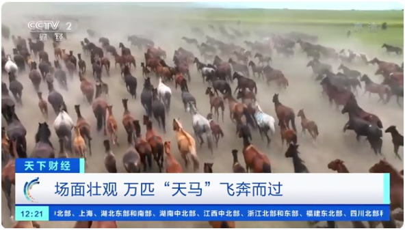 萬匹“天馬”飛奔而過！新疆昭蘇：奔騰駿馬“領(lǐng)跑”現(xiàn)代馬產(chǎn)業(yè) ...