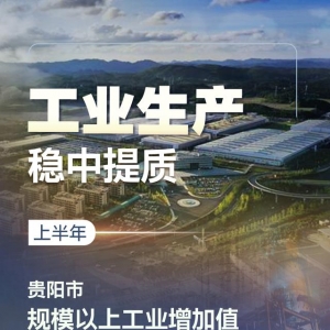 貴陽(yáng)貴安半年答卷丨七大重點(diǎn)產(chǎn)業(yè)增速加快 重點(diǎn)項(xiàng)目加快建設(shè) ...