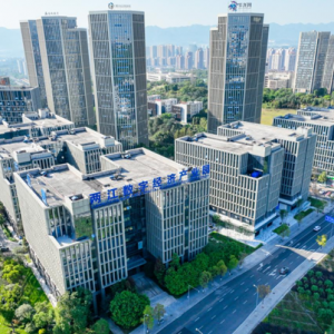 最高獎勵900萬元 重慶兩江新區(qū)出臺專項政策疊加支持軟信產(chǎn)業(yè)發(fā)展 ...