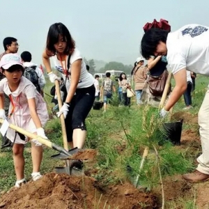 公報：2022年全國林草產(chǎn)業(yè)總產(chǎn)值達8.37萬億