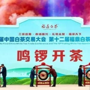 兩岸茶商齊聚“中國白茶之鄉(xiāng)” 共享白茶發(fā)展機(jī)遇  播報(bào)文章 ...