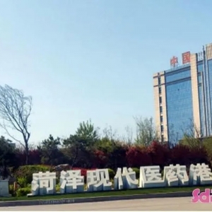 菏澤魯西新區(qū)：生物醫(yī)藥產(chǎn)業(yè)從“點上開花”走向“鏈上成景” ...