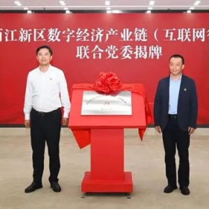 兩江新區(qū)數(shù)字產(chǎn)業(yè)鏈（互聯(lián)網(wǎng)行業(yè)）聯(lián)合黨委成立