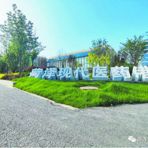 菏澤魯西新區(qū)：“鏈”上發(fā)力，推進(jìn)產(chǎn)業(yè)“強(qiáng)筋壯骨”