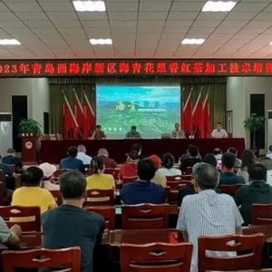 新突破！西海岸新區(qū)茶產(chǎn)業(yè)又一高端風(fēng)味產(chǎn)品研發(fā)成功