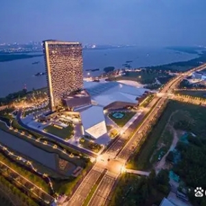 揚子國投：聚焦轉(zhuǎn)型顯擔(dān)當(dāng) 助力新區(qū)高質(zhì)量發(fā)展
