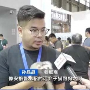 寵物經(jīng)濟崛起，年產(chǎn)業(yè)規(guī)模超2000億元！你貢獻了多少？