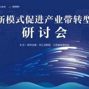 南京信息工程大學(xué)丁宏：電商新模式助力需求端拉動(dòng)供給端，促進(jìn)特色產(chǎn)業(yè)集群高質(zhì)量發(fā)展