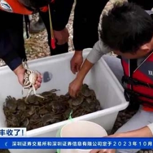 產(chǎn)值有望突破5億元！江西進(jìn)賢32萬(wàn)畝河蟹迎來(lái)捕撈季