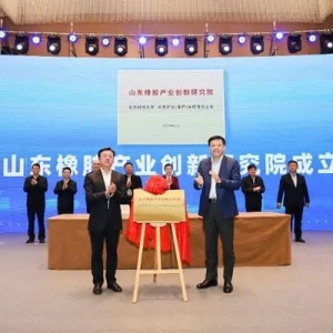 山東橡膠產(chǎn)業(yè)創(chuàng)新研究院揭牌 青島科技大學(xué)與棗莊簽約1.1億元重點(diǎn)項(xiàng)目