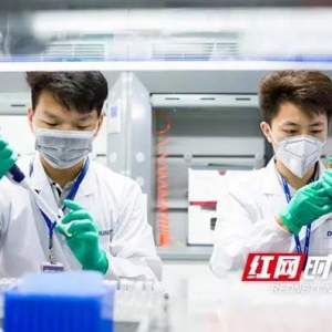護(hù)航每個(gè)奮斗者的夢(mèng)想！湘江新區(qū)打造人才與城市“雙向奔赴”樣本