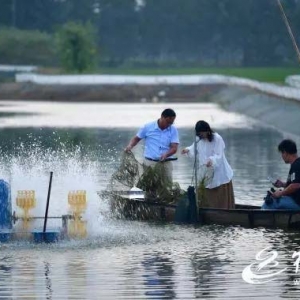 宿遷市湖濱新區(qū)：一蟹春晚橫 百億產(chǎn)業(yè)興