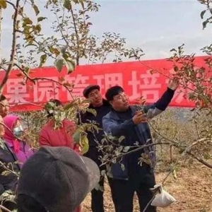 “棘小白”，與甘肅漳縣農(nóng)民攜手，實(shí)現(xiàn)農(nóng)業(yè)產(chǎn)業(yè)升級！