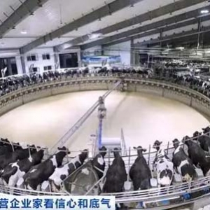 民營企業(yè)家看信心和底氣丨伊利集團(tuán)董事長潘剛：下“笨功夫”謀創(chuàng)新