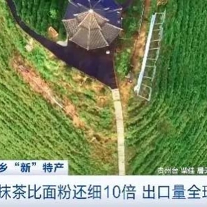 隱藏“新特產(chǎn)”！貴州抹茶出口量全球第三，年產(chǎn)值達3.2億元
