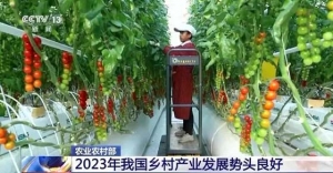 2023年我國鄉(xiāng)村產(chǎn)業(yè)發(fā)展勢頭良好，農(nóng)民收入比上年實際增長7.6%