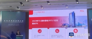 TCL科技首席運(yùn)營官王成：整體海外收入已接近一半