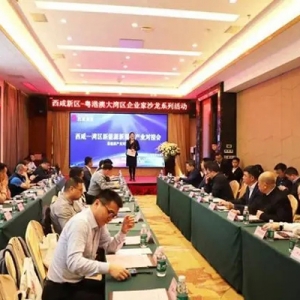 2024西咸新區(qū)——粵港澳大灣區(qū)企業(yè)家沙龍系列活動(dòng)之新能源新質(zhì)力產(chǎn)業(yè)對(duì)接會(huì)在深圳舉辦