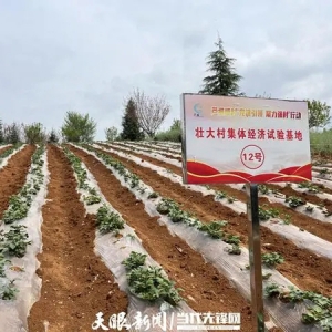 貴安新區(qū)湖潮鄉(xiāng)：農(nóng)事體驗(yàn)引客來，鄉(xiāng)村發(fā)展有活力